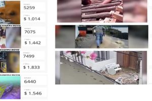 【2023.05.28】外面收费8000的febspot撸美金 单日收益30美金+工作室可批量搞【详细玩法】百度网盘免费下载-芽米宝库