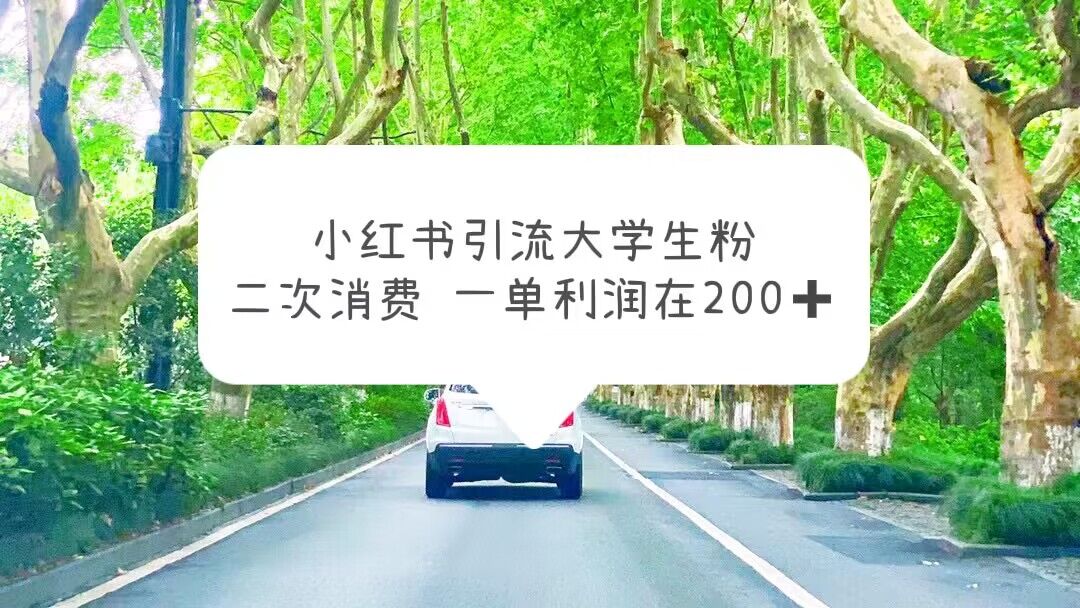 图片[1]-【2023.05.26】小红书引流大学生粉，变现项目，一单利润在200+（教程+资源）百度网盘免费下载-芽米宝库
