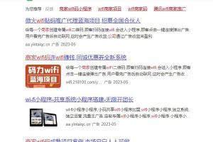 【2023.05.26】商家WIFI推广项目副业思路，一个月轻松收益2W+，玩法无私分享给你百度网盘免费下载-芽米宝库