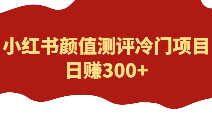 图片[1]-【2023.05.24】外面1980的项目，小红书颜值测评冷门项目，日赚300+【揭秘】百度网盘免费下载-芽米宝库