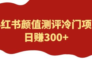 【2023.05.24】外面1980的项目，小红书颜值测评冷门项目，日赚300+【揭秘】百度网盘免费下载-芽米宝库