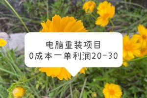 【2023.05.22】电脑系统重装项目，0成本一单利润20-30百度网盘免费下载-芽米宝库