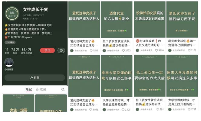 图片[3]-【2023.05.19】小红书各行业引流玩法，从养号到制作到引流等，一条龙分享给你百度网盘免费下载-芽米宝库