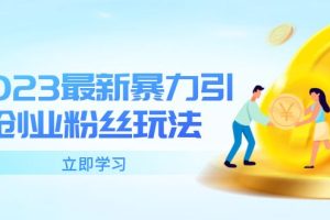【2023.05.19】2023最新暴力引流创业粉丝玩法，单日被动引流50+创业粉百度网盘免费下载-芽米宝库