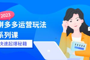 【2023.05.19】2023拼多多运营-玩法系列课—-快速起爆秘籍【更新-25节课】百度网盘免费下载-芽米宝库
