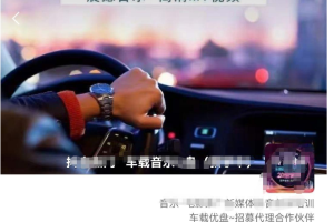 【2023.05.12】车载u盘暴力私域玩法，一部手机实现日入300+百度网盘免费下载-芽米宝库
