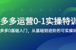 【2023.05.11】拼多多-运营0-1实操训练营，拼多多0基础入门，从基础到进阶的可实操玩法百度网盘免费下载-芽米宝库