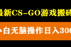 【2023.05.11】最新csgo游戏搬砖游戏，无需挂机小白无脑也能日入300+百度网盘免费下载-芽米宝库
