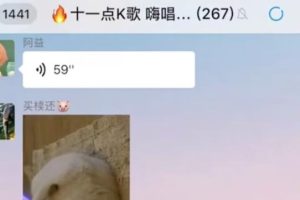 【2023.05.07】线上K歌社群，一单赚9.9，新手布局操作一天搞个几十到几百，无难度（实操玩法）百度网盘免费下载-芽米宝库
