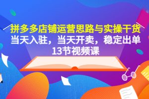 【2023.05.06】拼多多店铺运营思路与实操干货，当天入驻，当天开卖，稳定出单（13节课）百度网盘免费下载-芽米宝库