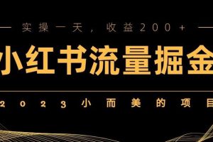 【2023.05.04】2023小而美的项目，小红书流量掘金，实操一天，收益200+百度网盘免费下载-芽米宝库