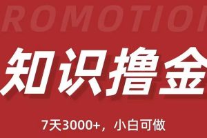 【2023.05.01】抖音知识撸金项目：简单粗暴日入1000+执行力强当天见收益(教程+资料)百度网盘免费下载-芽米宝库