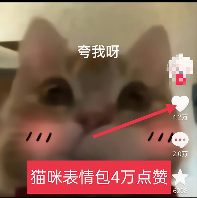 图片[3]-【2023.04.17】黑科技纯原创可爱猫咪图片，全网精准引流，实操5个VX号被加频繁百度网盘免费下载-芽米宝库