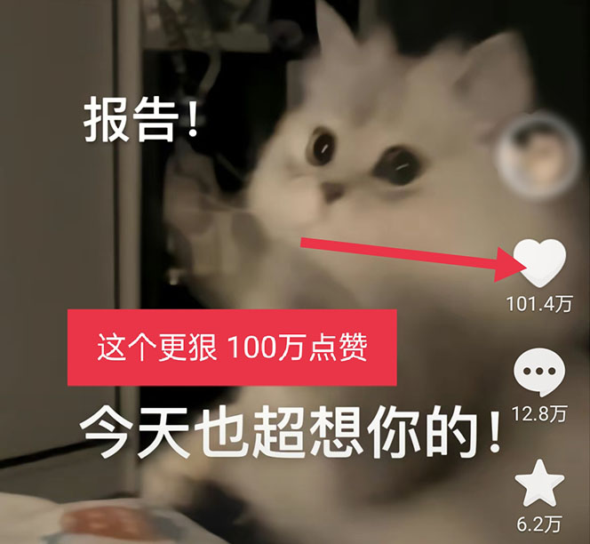 图片[4]-【2023.04.17】黑科技纯原创可爱猫咪图片，全网精准引流，实操5个VX号被加频繁百度网盘免费下载-芽米宝库