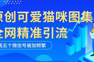 【2023.04.17】黑科技纯原创可爱猫咪图片，全网精准引流，实操5个VX号被加频繁百度网盘免费下载-芽米宝库