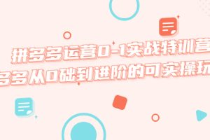 【2023.04.23】拼多多运营0-1实战特训营，拼多多从0础到进阶的可实操玩法！百度网盘免费下载-芽米宝库