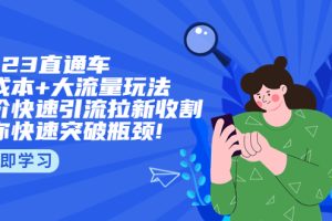 【2023.04.14】2023直通小成本+大流量玩法，低价快速引流拉新收割，让你快速突破瓶颈!百度网盘免费下载-芽米宝库