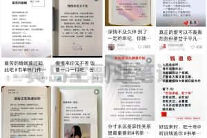 【2023.04.14】情感咨询赛道副业项目，教你在短视频平台精准引流获客百度网盘免费下载-芽米宝库