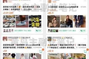 【2023.04.14】快团团卖货项目副业思路，选品操作轻松月入过万百度网盘免费下载-芽米宝库