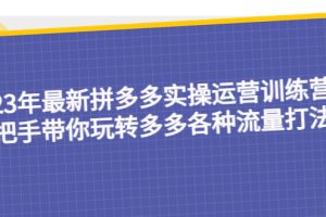 【2023.04.14】23年最新拼多多实操运营训练营：手把手带你玩转多多各种流量打法！百度网盘免费下载-芽米宝库