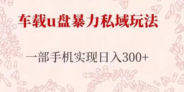 图片[1]-【2023.04.14】车载u盘暴力私域玩法，长期项目，仅需一部手机实现日入300+百度网盘免费下载-芽米宝库