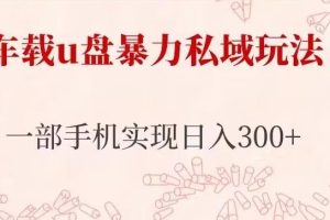【2023.04.14】车载u盘暴力私域玩法，长期项目，仅需一部手机实现日入300+百度网盘免费下载-芽米宝库
