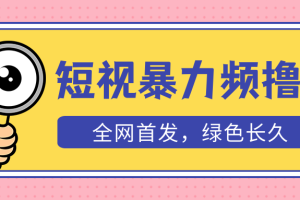 【2023.04.14】外面收费1680的短视频暴力撸金，日入300+长期可做，赠自动收款平台百度网盘免费下载-芽米宝库