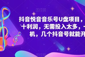 【2023.04.13】抖音音乐号U盘项目 一单几十利润 无需投入太多 一台手机 几个抖音号就开始百度网盘免费下载-芽米宝库