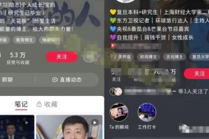 【2023.04.10】小红书个人IP模板+发布最佳时间，轻松打造高质量账号，玩法无私分享给你百度网盘免费下载-芽米宝库