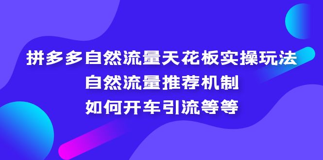 图片[1]-【2023.04.10】拼多多自然流量天花板实操玩法：自然流量推荐机制，如何开车引流等等百度网盘免费下载-芽米宝库