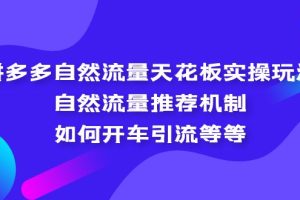 【2023.04.10】拼多多自然流量天花板实操玩法：自然流量推荐机制，如何开车引流等等百度网盘免费下载-芽米宝库