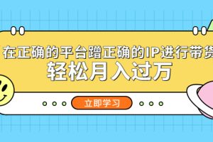 【2023.04.07】在正确的平台蹭正确的IP进行带货，轻松月入过万百度网盘免费下载-芽米宝库