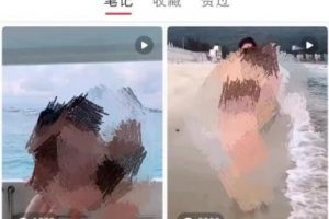 【2023.03.31】亲测，小红书涨粉变现项目，前期涨粉，后期实现躺赚，月入3000+！百度网盘免费下载-芽米宝库