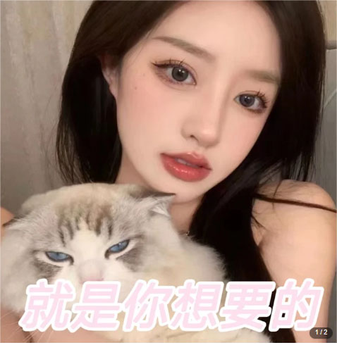图片[2]-【2023.03.30】微信交友变现项目，吸引全网LSP男粉精准变现，小白也能轻松上手，日入500+百度网盘免费下载-芽米宝库