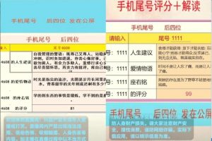 【2023.03.30】手机尾号测评项目变现玩法解析，一天几百不成问题百度网盘免费下载-芽米宝库