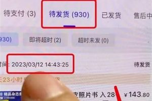 【2023.03.30】“照片书”项目一单收益40元，单日销售额3W+百度网盘免费下载-芽米宝库