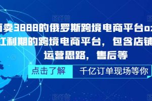 【2023.03.23】俄罗斯跨境电商平台ozon运营，包含店铺申请，运营思路，售后等（无水印）百度网盘免费下载-芽米宝库