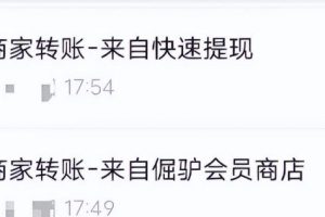 【2023.03.23】零撸游戏广告项目，单机日入20-40，还能批量操作！百度网盘免费下载-芽米宝库