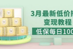 【2023.03.21】低保(每日100+)3月最新拼多多果冻宝盒低价撸纸变现+销售详细教程百度网盘免费下载-芽米宝库