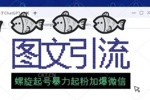 【2023.03.21】23年价值1980的图文引流创业粉螺旋起好技术暴力起粉加爆微信百度网盘免费下载-芽米宝库