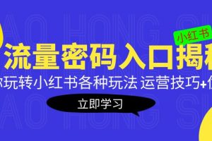 【2023.03.17】小红书流量密码入口揭秘：带你玩转小红书各种玩法 运营技巧+优化！百度网盘免费下载-芽米宝库