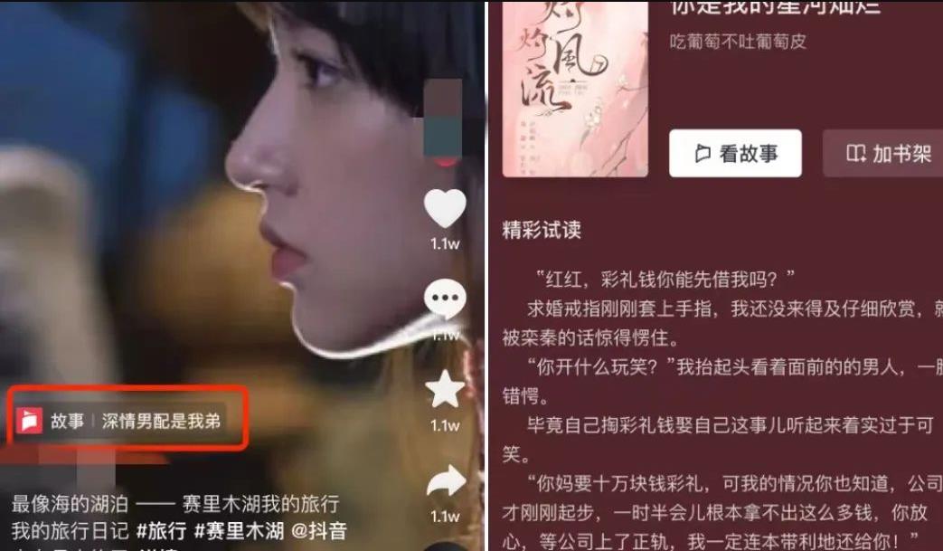图片[1]-【2023.03.17】抖音故事新项目 : 小说推文新玩法百度网盘免费下载-芽米宝库
