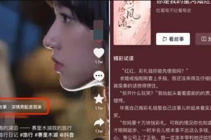 【2023.03.17】抖音故事新项目 : 小说推文新玩法百度网盘免费下载-芽米宝库