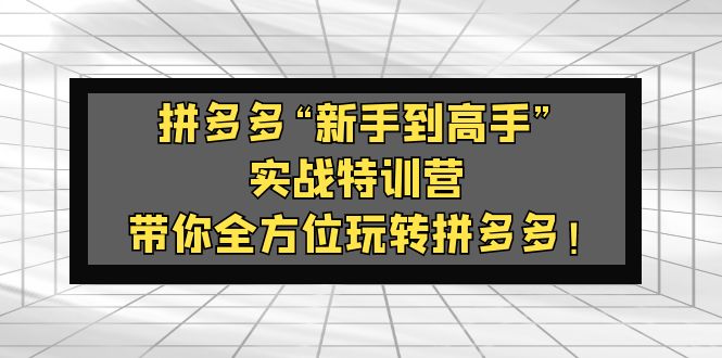 图片[1]-【2023.03.17】拼多多“新手到高手”实战特训营：带你全方位玩转拼多多！百度网盘免费下载-芽米宝库