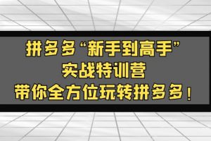 【2023.03.17】拼多多“新手到高手”实战特训营：带你全方位玩转拼多多！百度网盘免费下载-芽米宝库