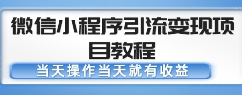 图片[1]-【2023.03.17】微信小程序引流变现项目教程，当天操作当天就有收益，变现不再是难事百度网盘免费下载-芽米宝库