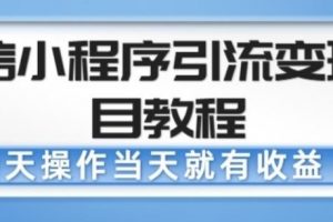 【2023.03.17】微信小程序引流变现项目教程，当天操作当天就有收益，变现不再是难事百度网盘免费下载-芽米宝库