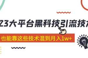 【2023.03.11】价值4899的2023大平台黑科技引流技术 小白也能靠这些技术混到月入1w+29节课百度网盘免费下载-芽米宝库