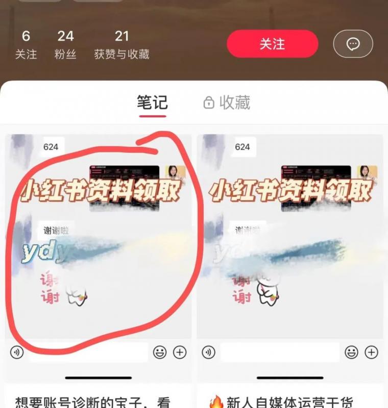 图片[11]-【2023.03.06】小红书虚拟资料项目实操复盘，保姆级搞钱玩法，月入2W＋！百度网盘免费下载-芽米宝库