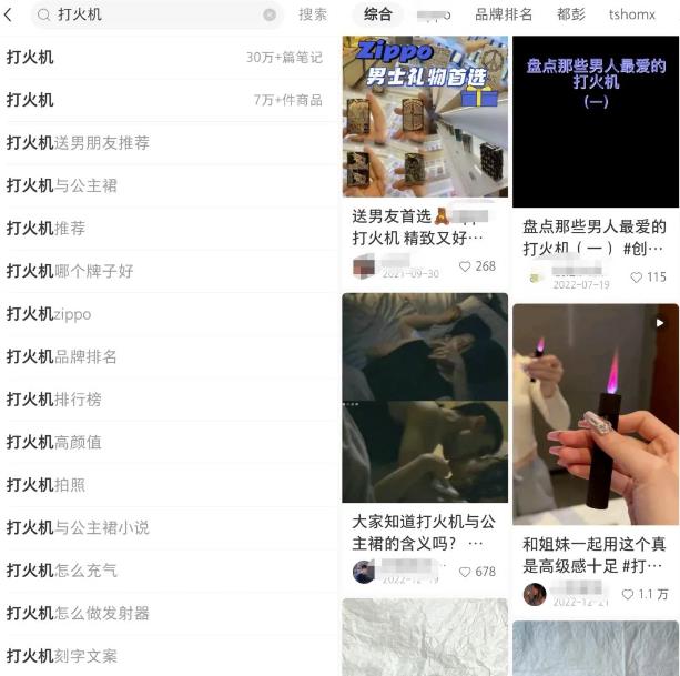 图片[2]-【2023.03.05】小红书电商无货源项目思路，从开店到选品的一些玩法百度网盘免费下载-芽米宝库